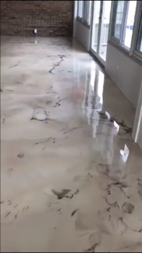 Contemporary hallway showcasing durable epoxy flooring - Marvin's Brick Pavers, Madison, WI