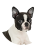 test_2.webp