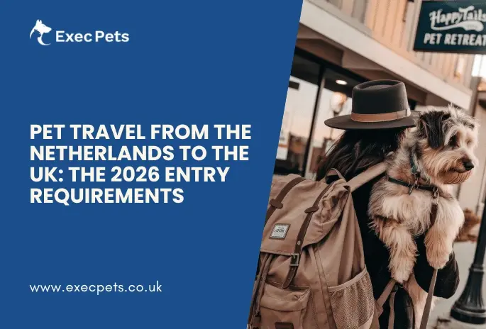 Pet Travel from the Netherlands to the UK The 2026 Entry Requirements