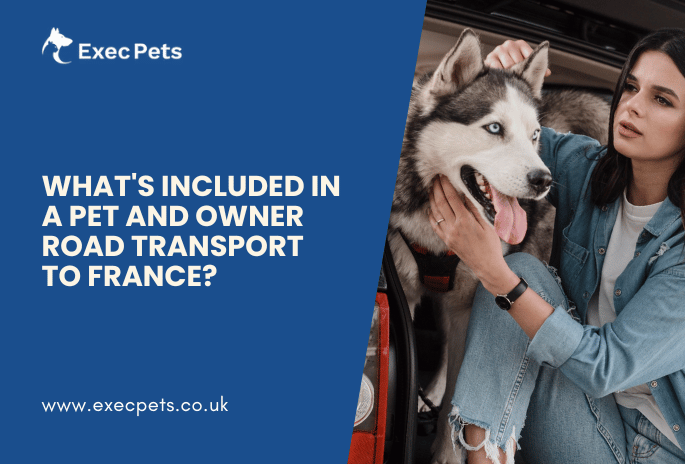 What's Included in a Pet and Owner Road Transport to France