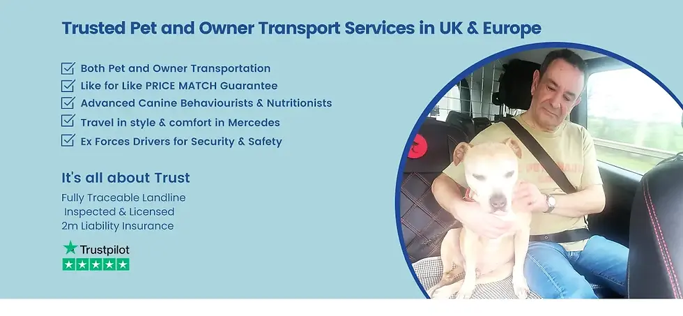 Exec Pets Desktop Page 19 Feb 2024 (1).webp