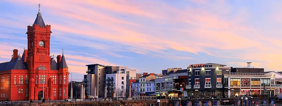 pet transport service in cardiff