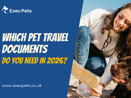 Which Pet Travel Documents Do You Need in 2026 
