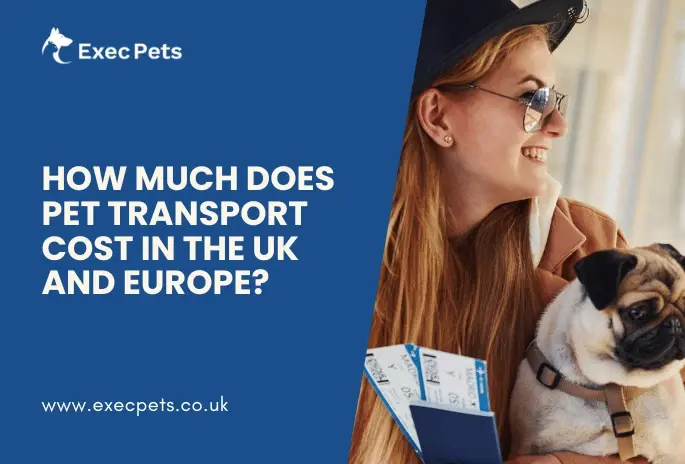 How Much Does Pet Transport Cost