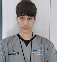 del sarto.jpg
