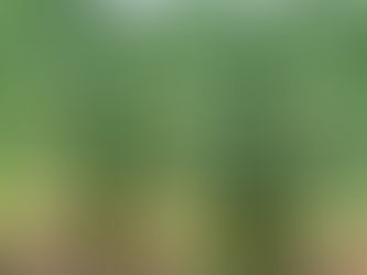 もういくつ寝るとお正月