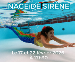 Réseaux cours Quiberon