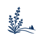 Heidegras.png