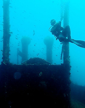 P5250174_l.jpg