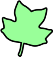 leaf%25202_edited_edited.png