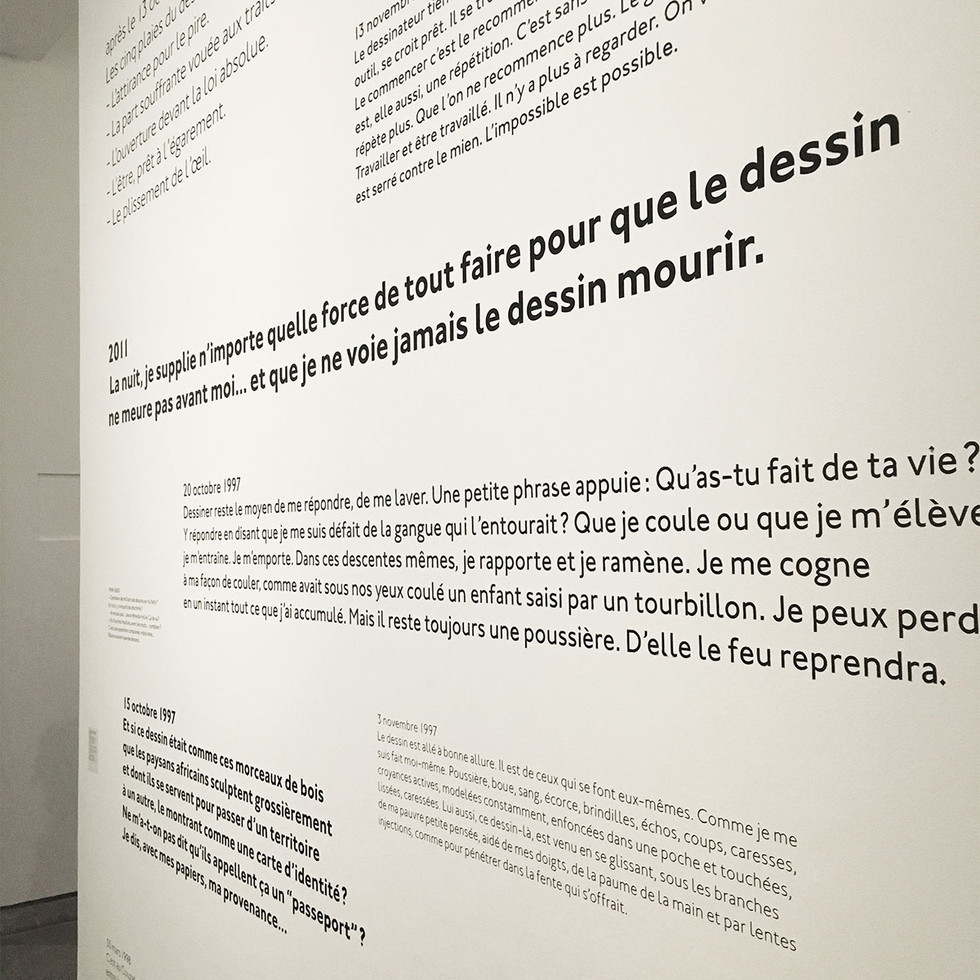 marquage mural exposition Musée des Beaux-Arts de Lyon