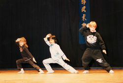 festival_du_ vielsalm_26.jpg