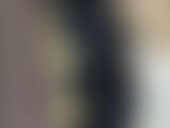 トイ・プードル子犬