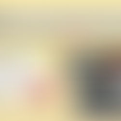 2023年9月入學登記和文件初步鑒證工作已經開始 - 這 或許是【 Stream A 】9月入學2年Diploma 課程的最後一個機會