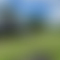 怕自己沒有足夠的專業，（NOC Skill Type 解説）和難搵錢😱😱😱 