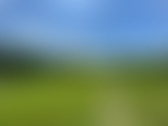 【移民加拿大步驟?  DIY 研究個夠！】