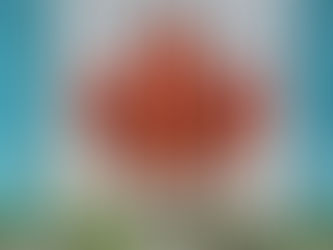 移民加拿大 - 英文唔好,如何和外國人相處?