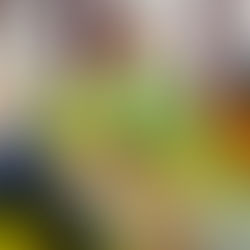 《Mr. Maple Baby 下海 吹個頭 剪個髮》