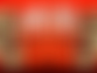 【裸辭移加的故事 】 - The Maple Couple 同學會潮文 #11