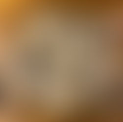 加拿大超市攻略❤🥮🍦🥧