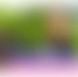 2024年10個最受港人歡迎  - 1年制Post Graduate課程,助你輕鬆搵工