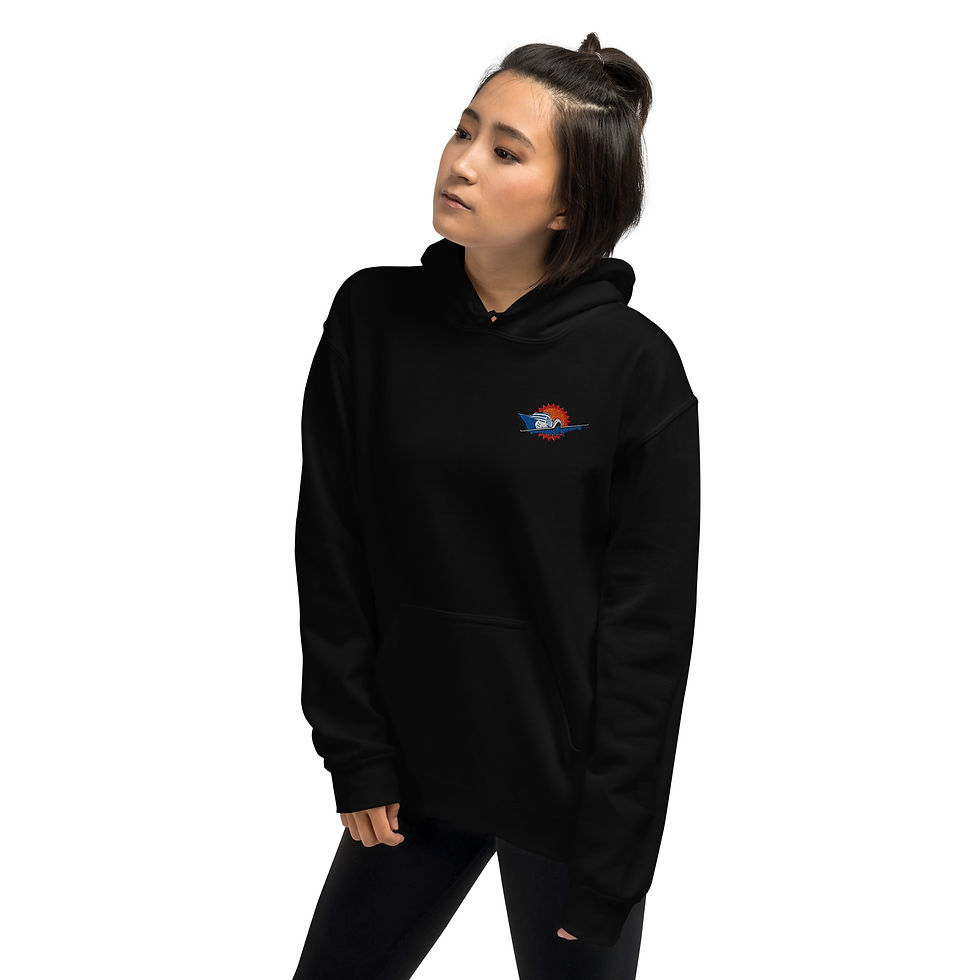 Thumbnail: DreamChaser Hoodie (Unisex)