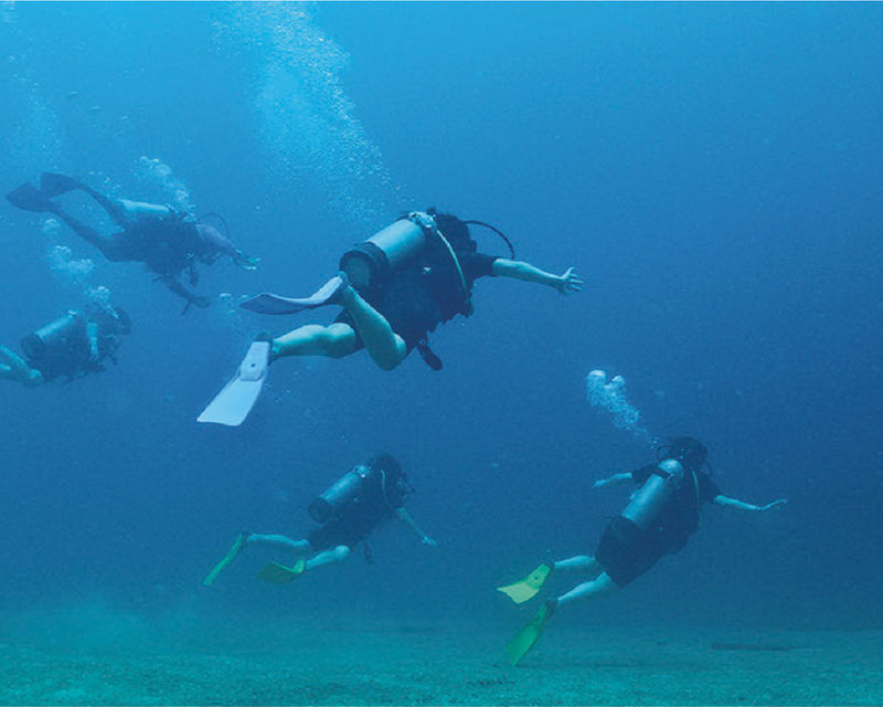 Cabo Pulmo Diving — 2x1 in Los Cabos with Baja Pass