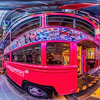 Experiences at El Squid Roe in Cabo