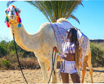 Camel Safari in Cabo with Baja Pass