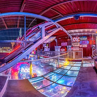 Experiences at El Squid Roe in Cabo