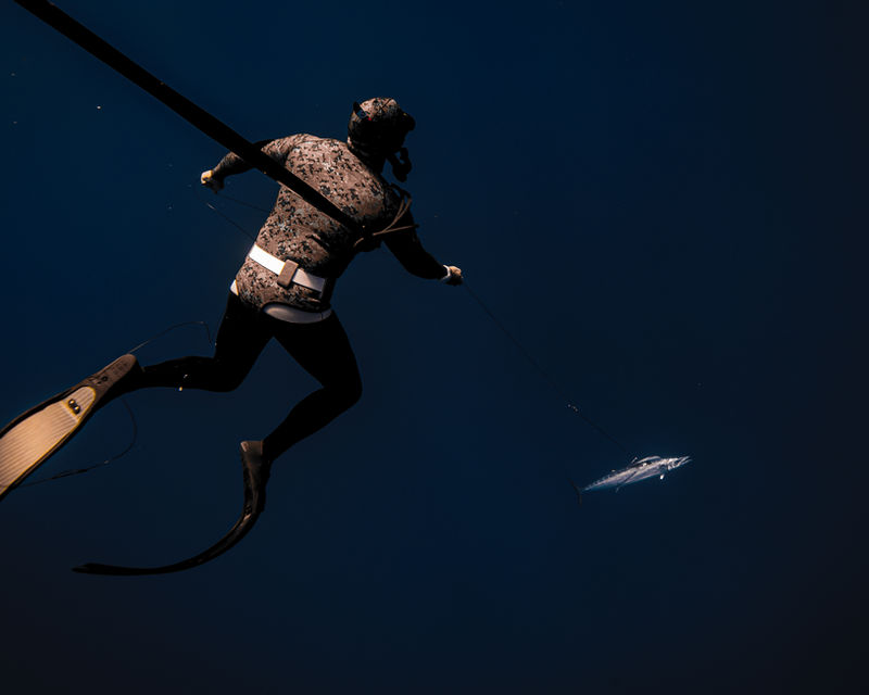 Spearfishing — 2x1 in Los Cabos with Baja Pass