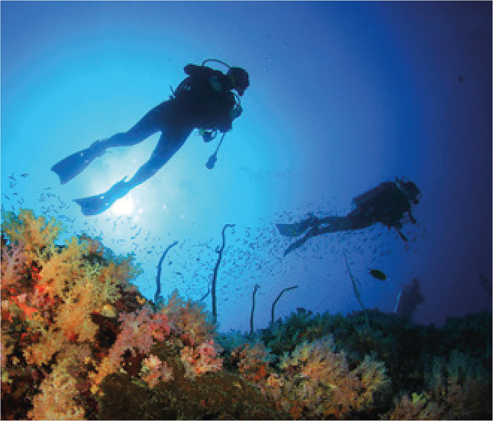 CABO PULMO DIVING