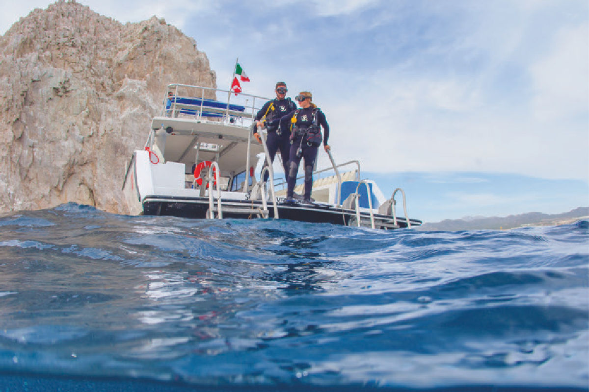 What to Do in Cabo San Lucas: The Short List That Matters