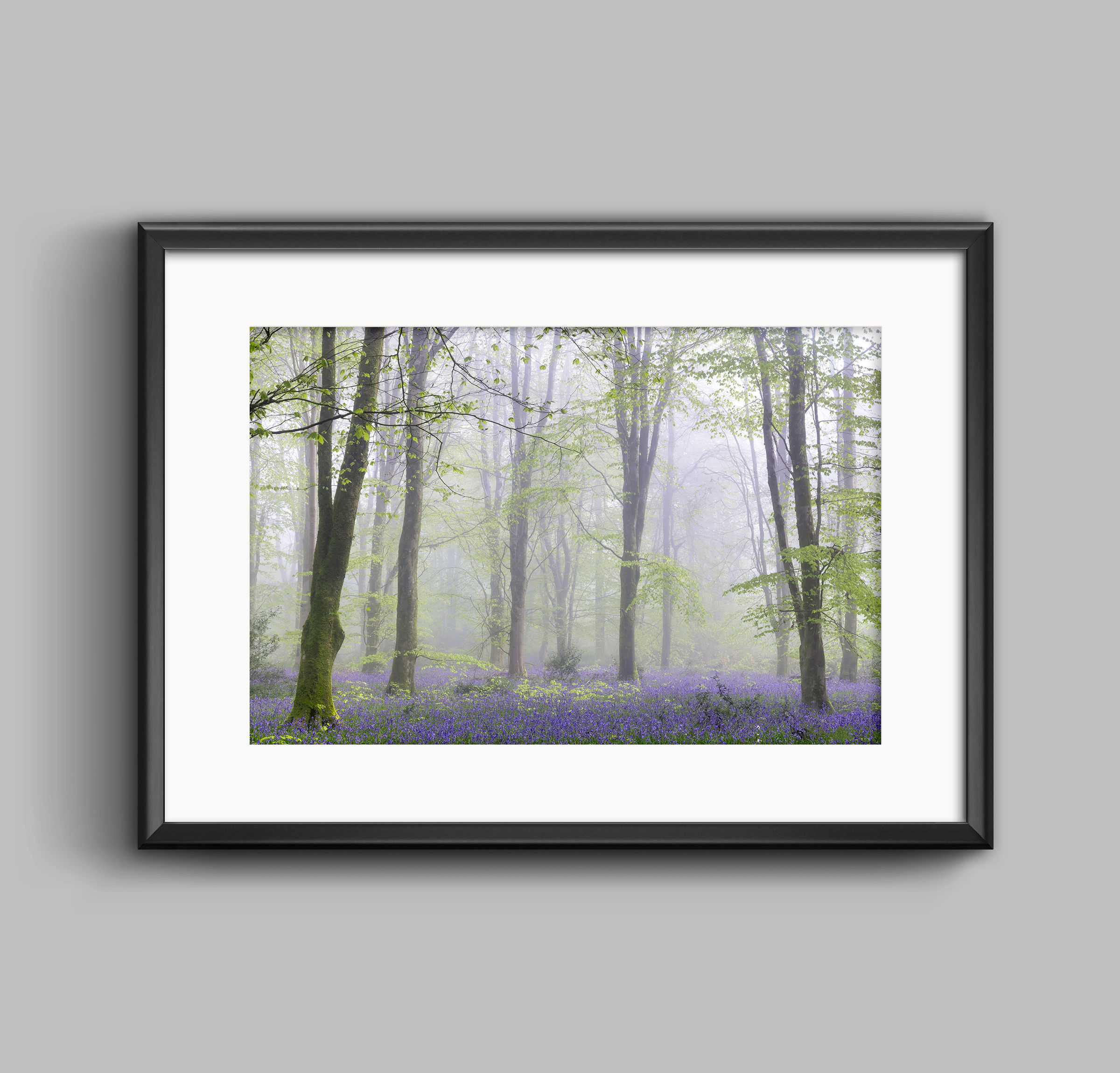 PRINT - Bluebells & Fog