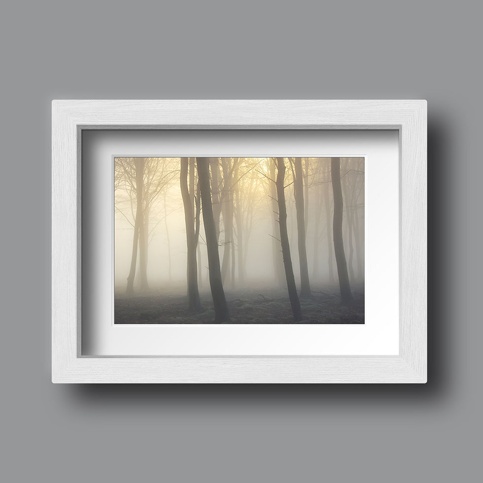 縮圖：PRINT - Foggy Dawn