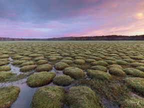 Losing Your Landscape Photography Mojo