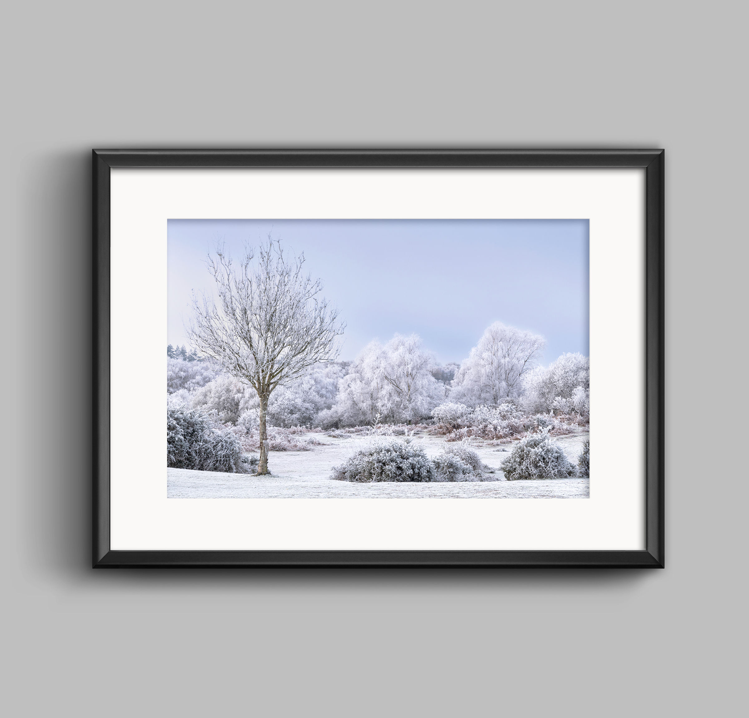 PRINT - Winter Chill