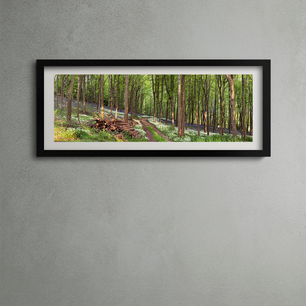 Wild Garlic Path - PANORAMIC PRINT 3:1 Ratio