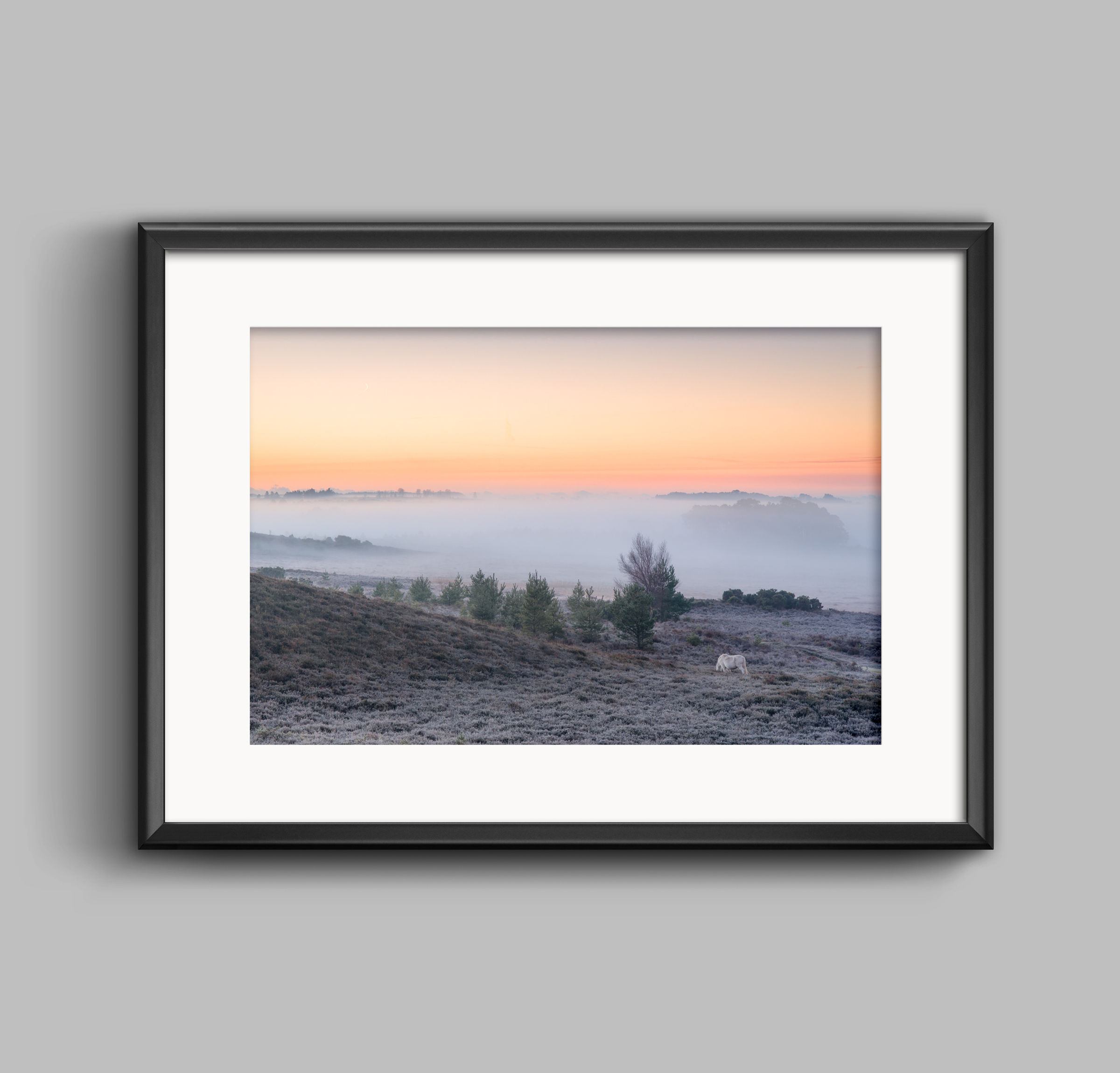 PRINT - Lone Pony Sunrise