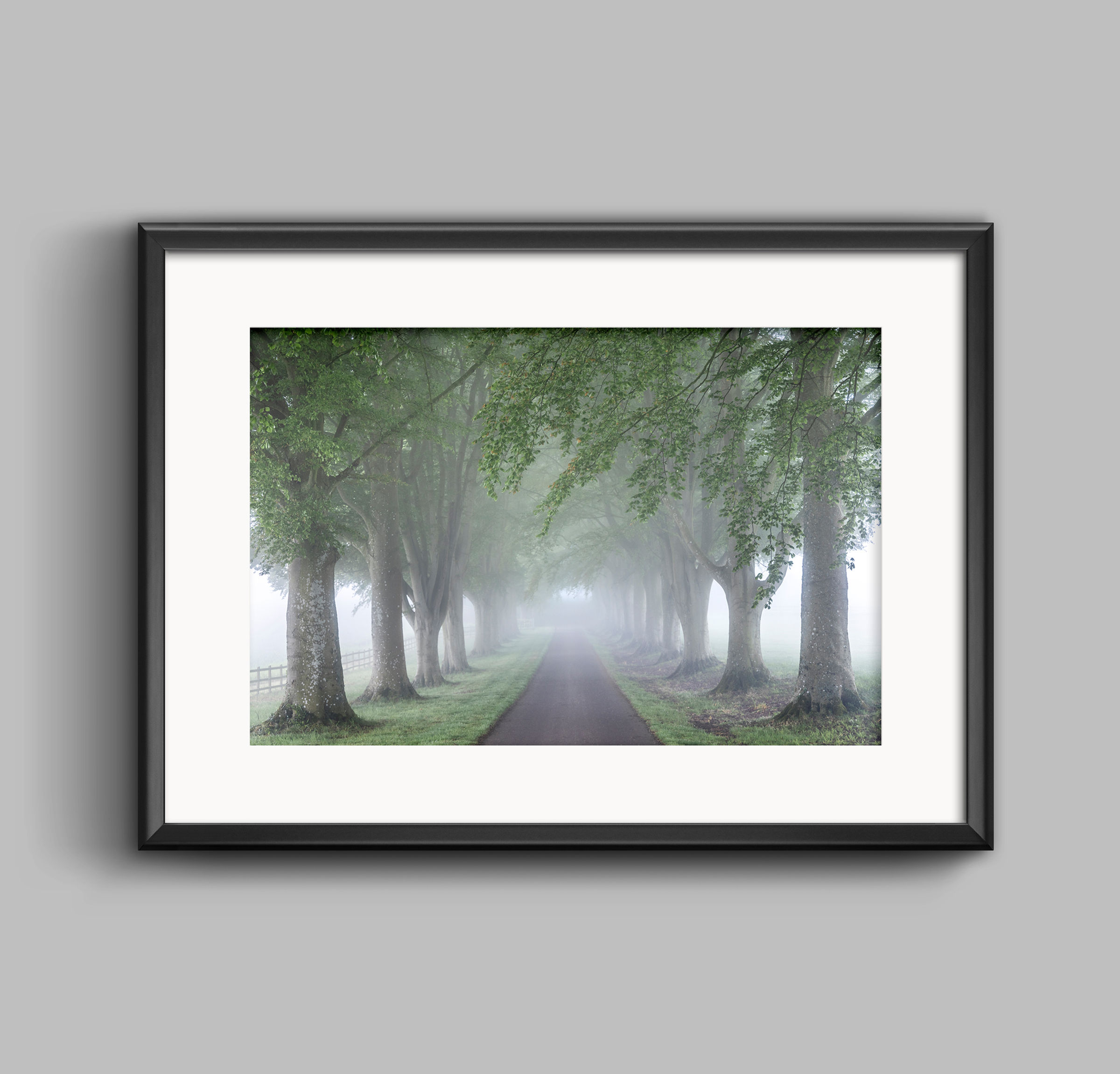 PRINT - Spring at Autumn Avenue