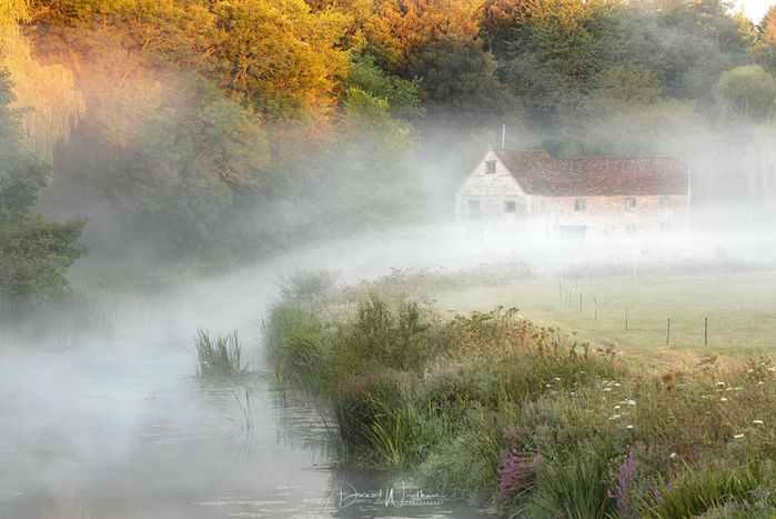 Dorset Stour