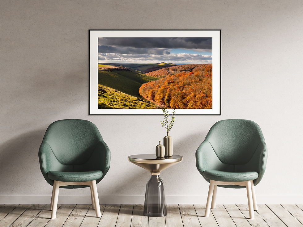 Miniaturbild: PRINT - Autumn Light