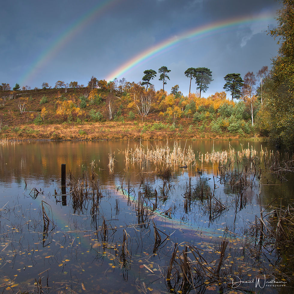 How to photograph rainbows