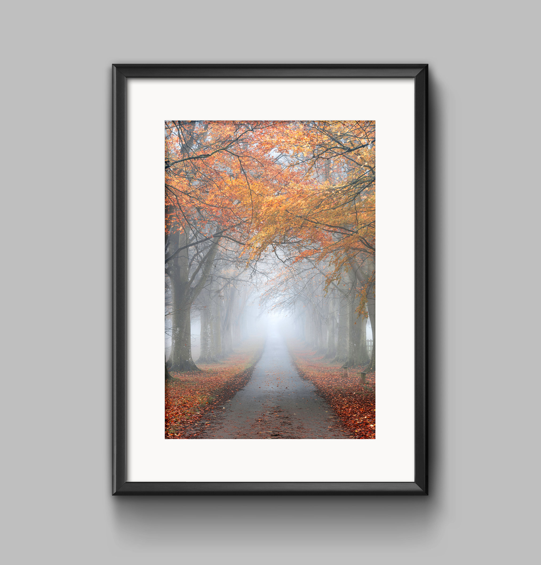 PRINT - Autumn Avenue 2
