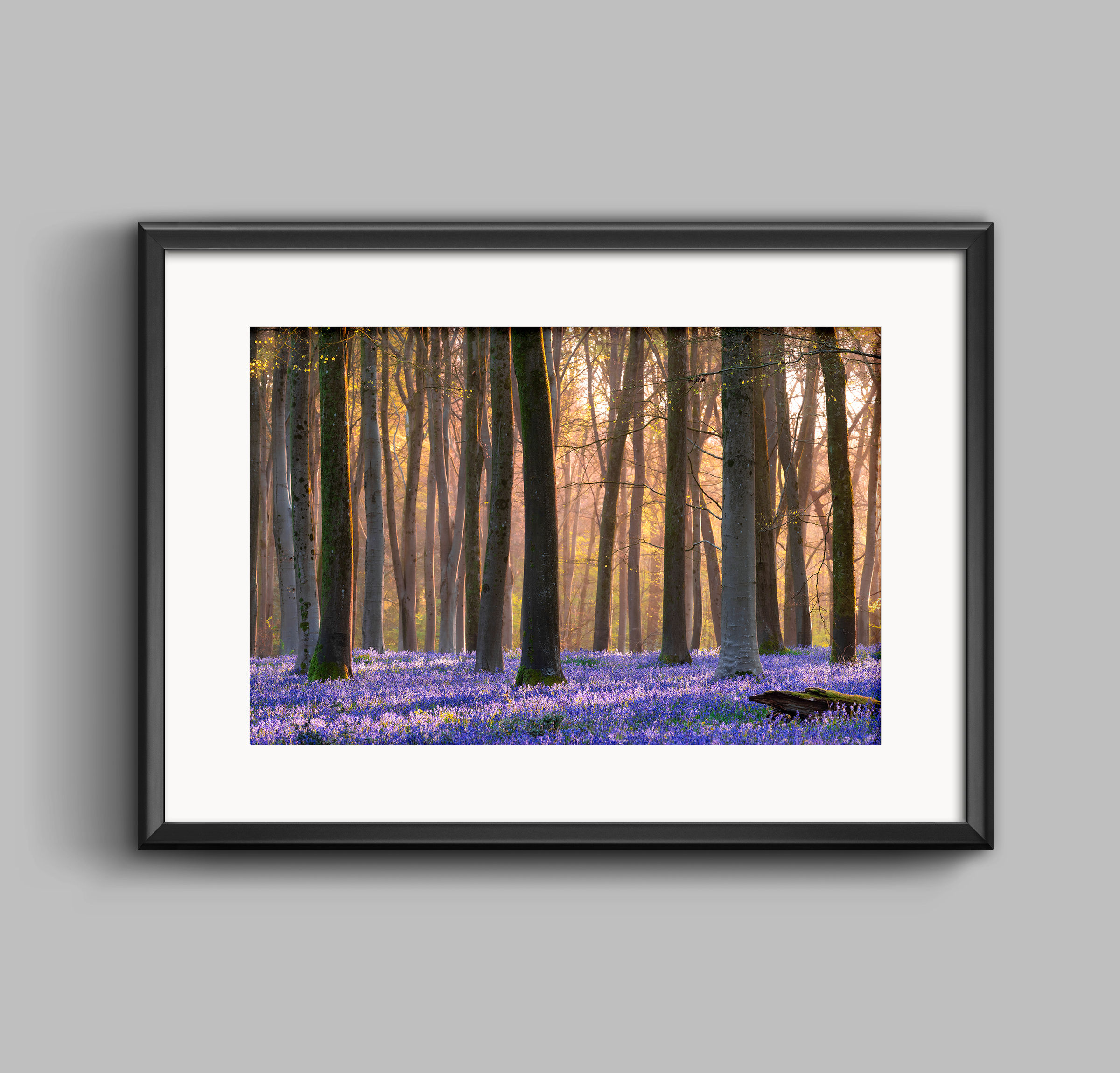 PRINT - Warm Hues Over Blues