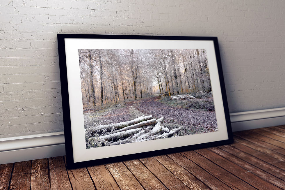 Миниатюра: PRINT - Winters Grip