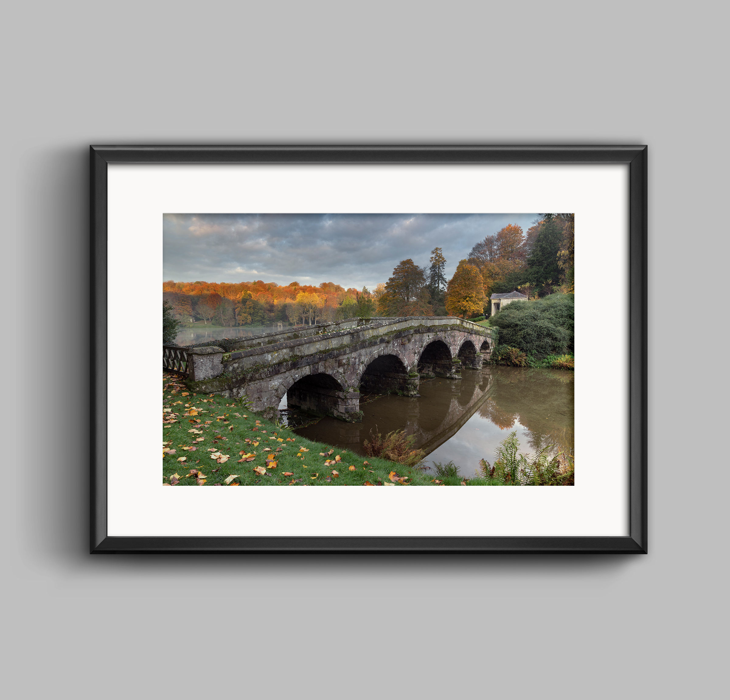 PRINT - Autumn Light