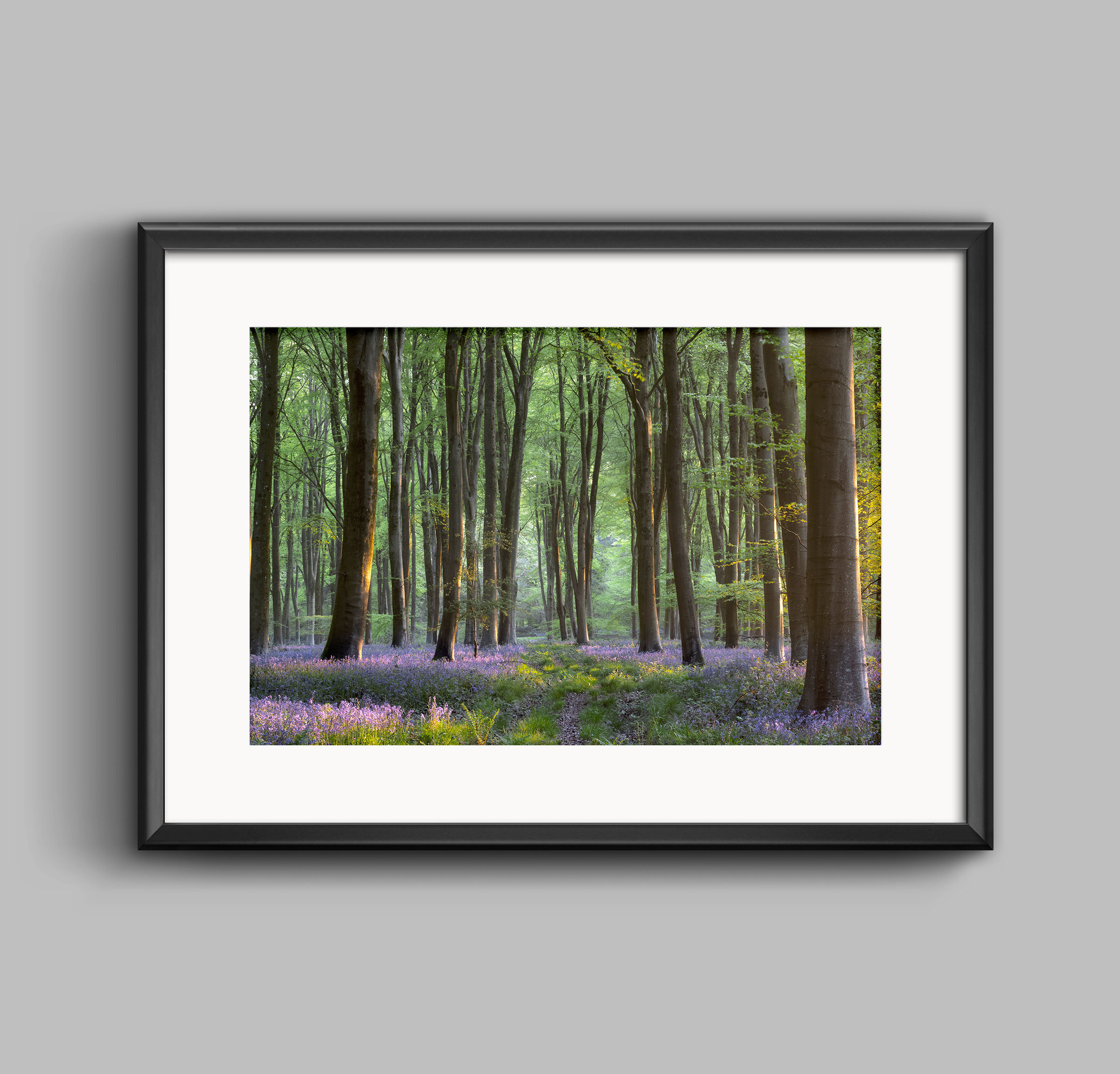 PRINT - Amongst Giants