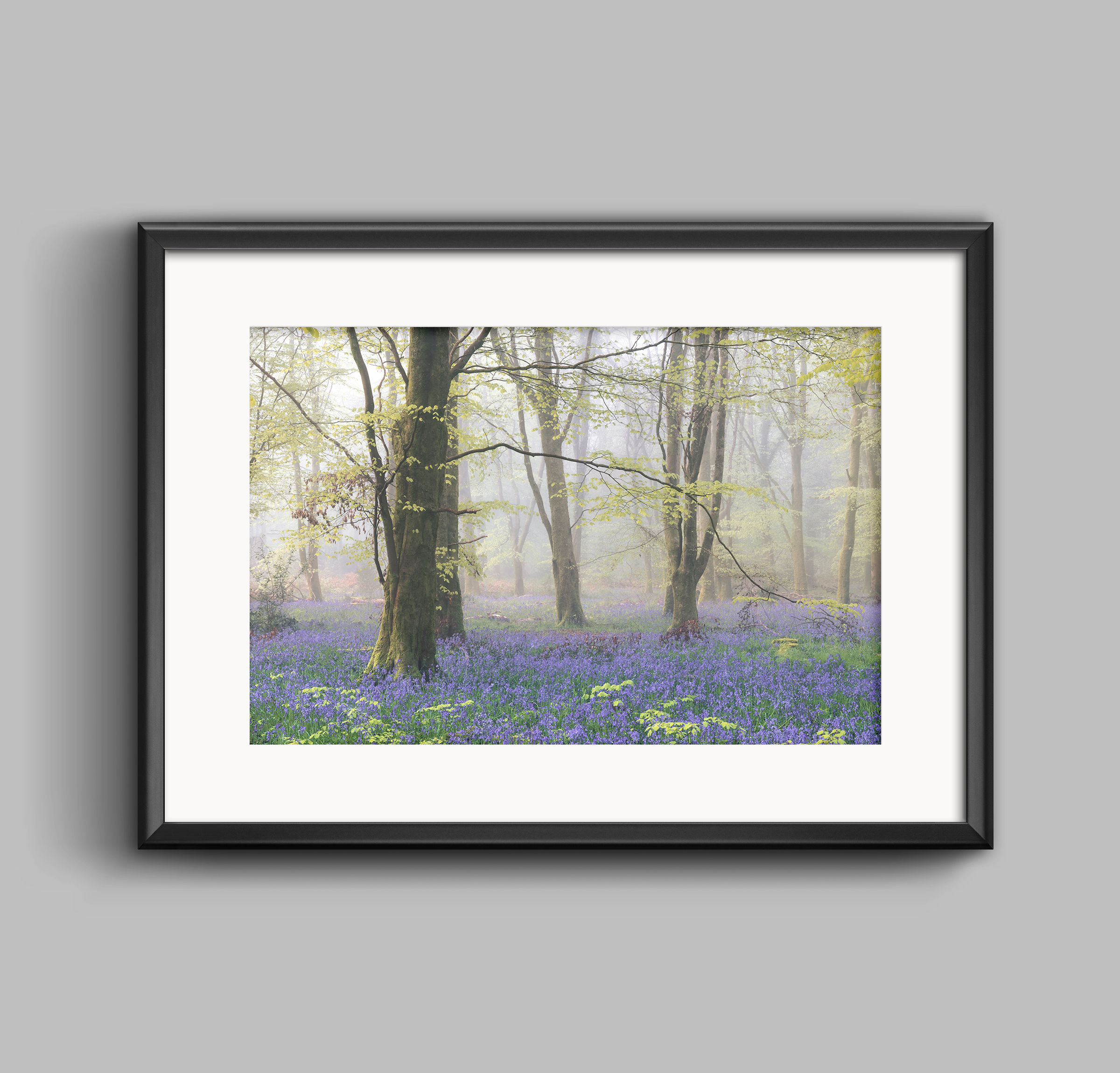PRINT - Natural Bluebell Forest