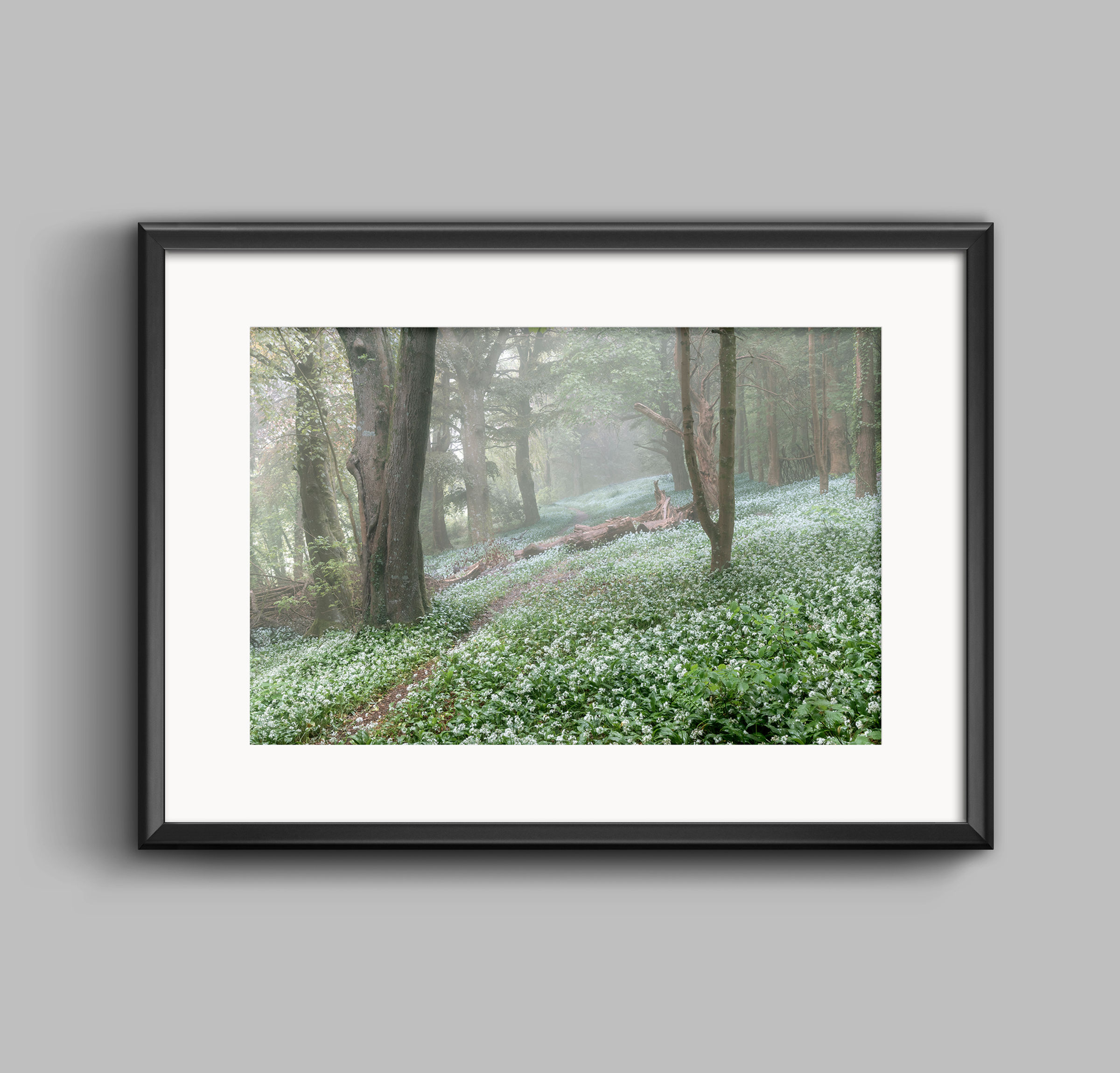 PRINT - Fog Over Emerald